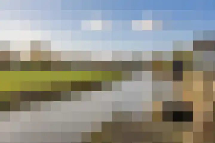 De Goorn 19 De Goorn thumbnail 5