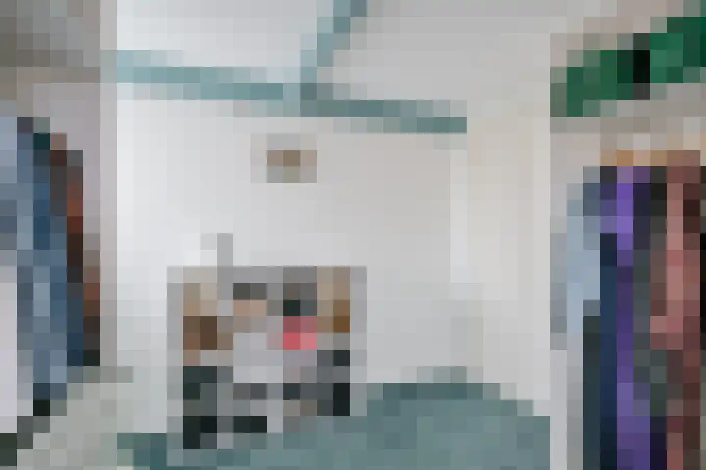 De Goorn 38 De Goorn thumbnail 15
