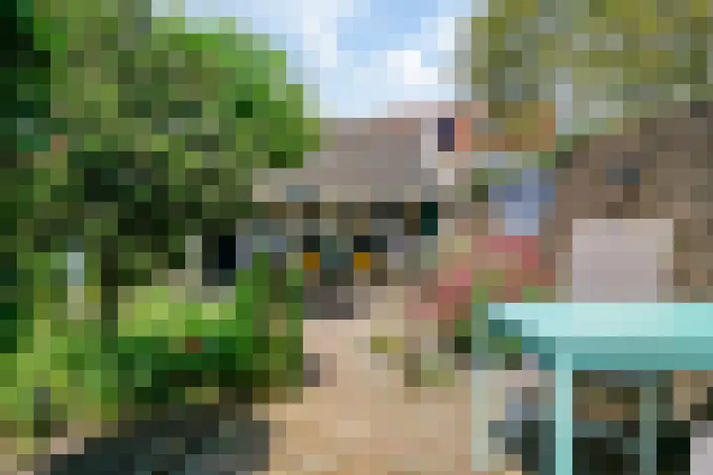 De Goorn 38 De Goorn thumbnail 24