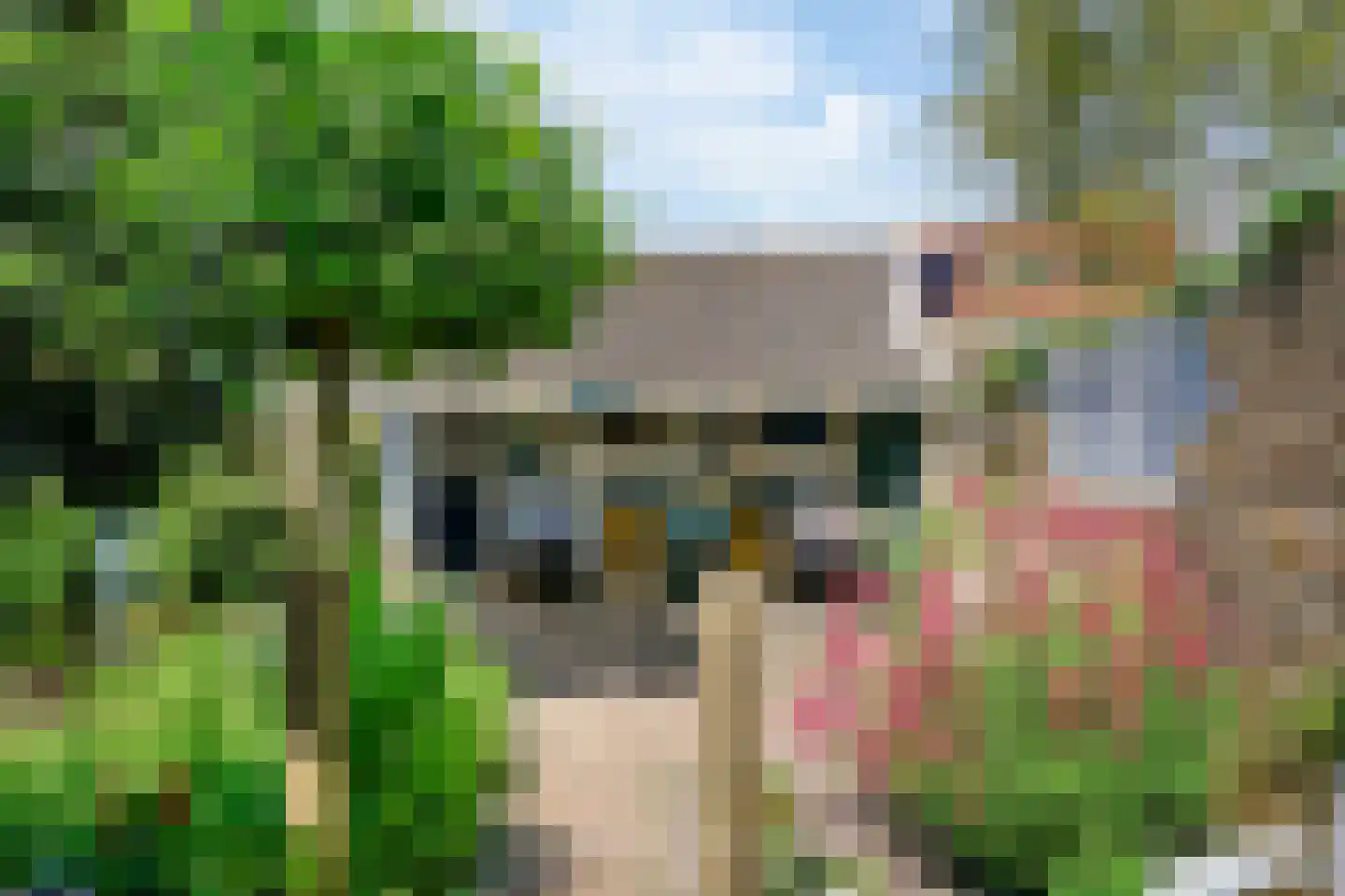 De Goorn 38 De Goorn thumbnail 26
