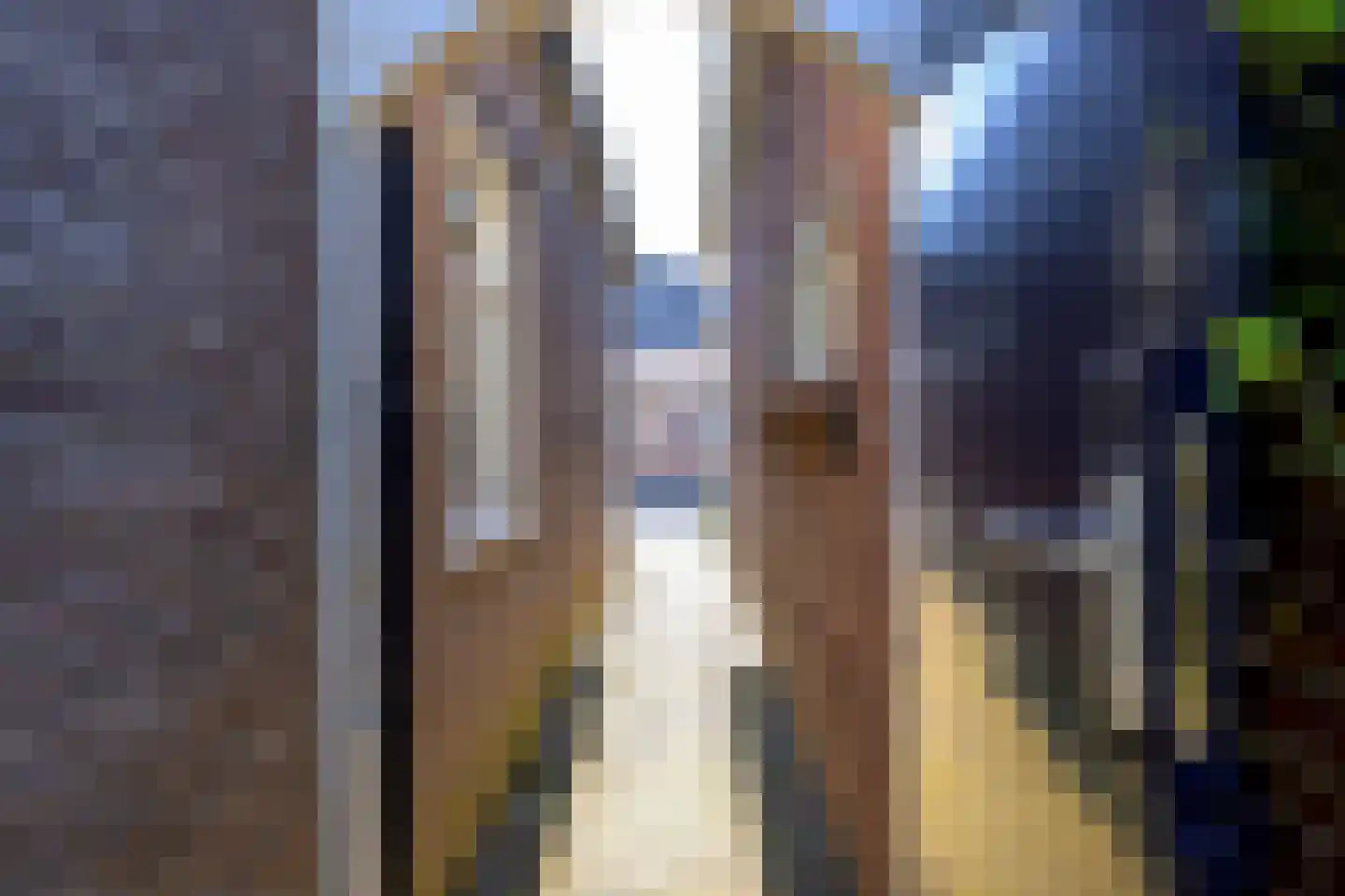De Goorn 38 De Goorn thumbnail 26