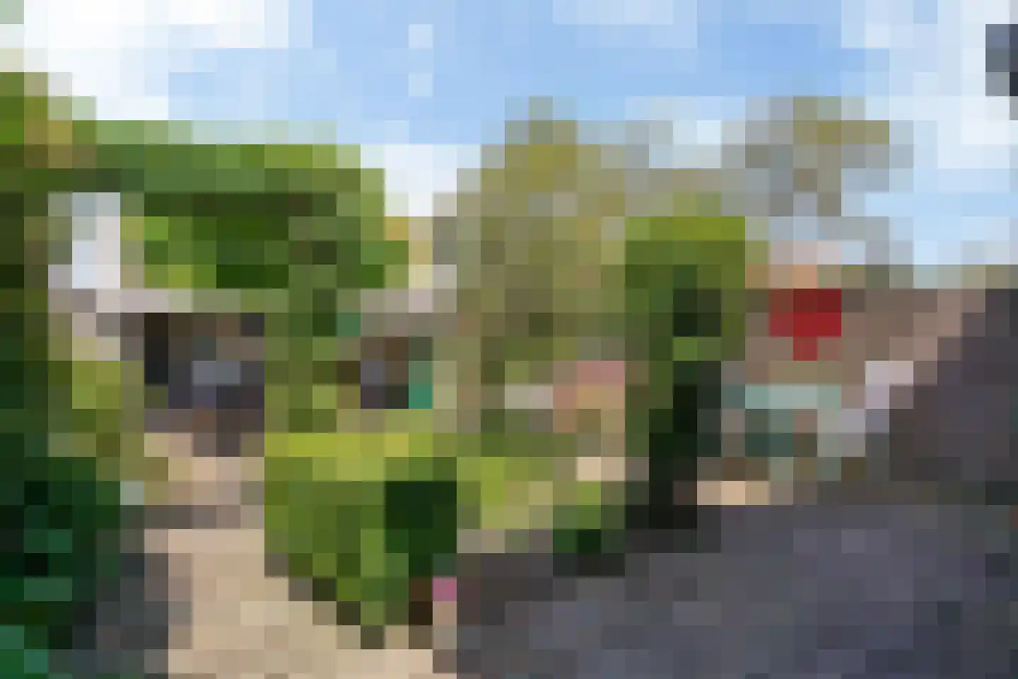 De Goorn 38 De Goorn thumbnail 31