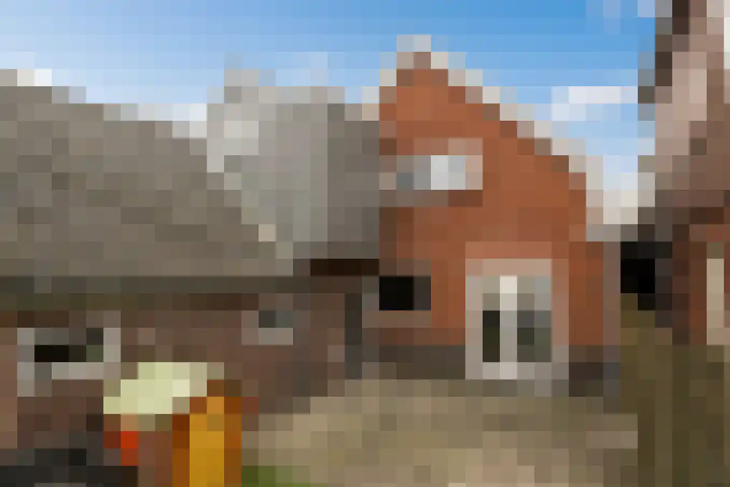 De Goorn 56 De Goorn thumbnail 20
