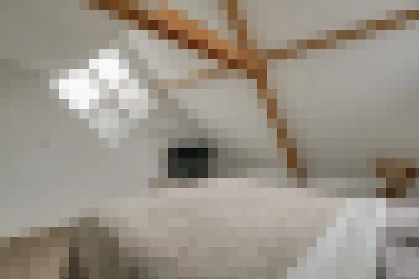 De Goorn 56 De Goorn thumbnail 49