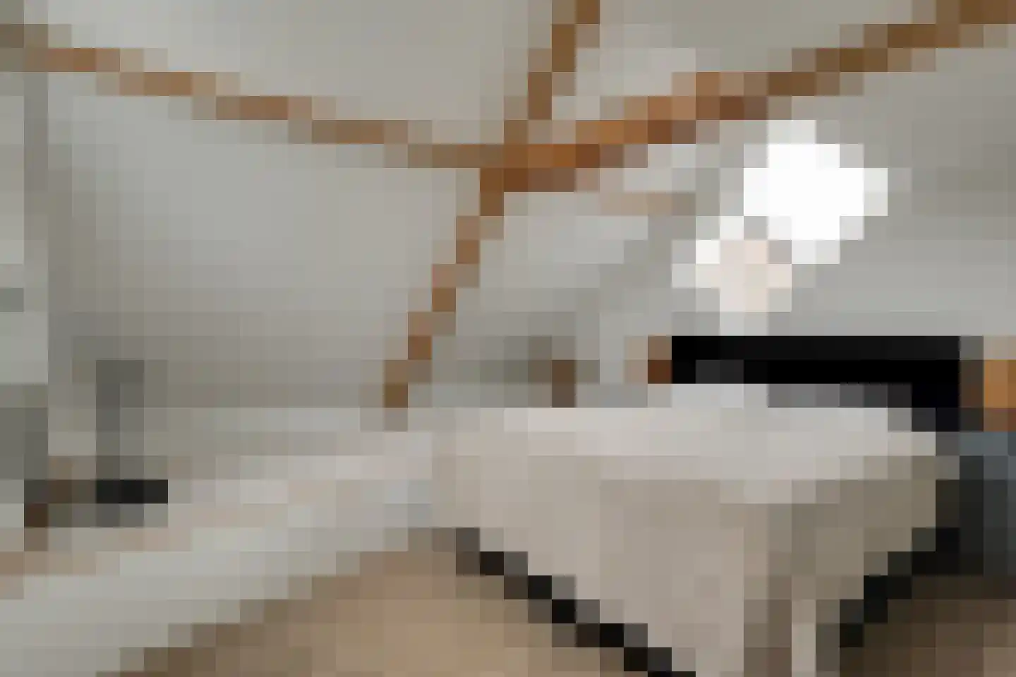 De Goorn 56 De Goorn thumbnail 5