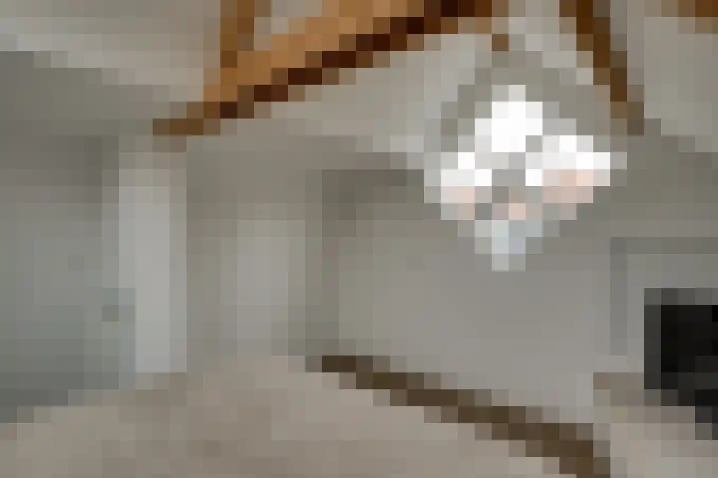 De Goorn 56 De Goorn thumbnail 51