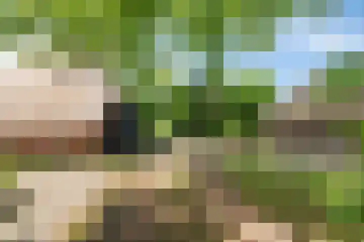 De Goornhoek 7 Sleen thumbnail 10