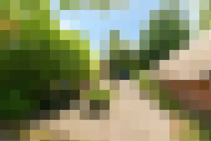 De Goornhoek 7 Sleen thumbnail 11