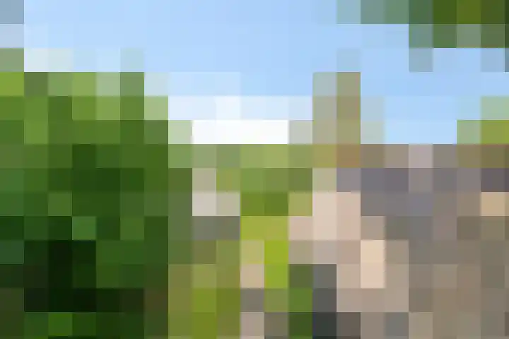 De Goornhoek 7 Sleen thumbnail 13