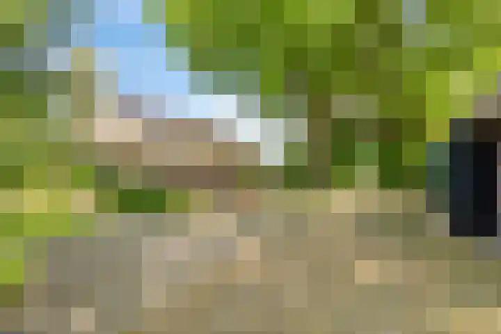 De Goornhoek 7 Sleen thumbnail 14