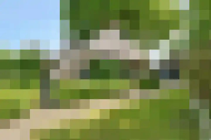 De Goornhoek 7 Sleen thumbnail 15