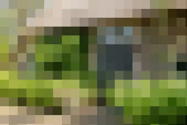 De Goornhoek 7 Sleen thumbnail 16