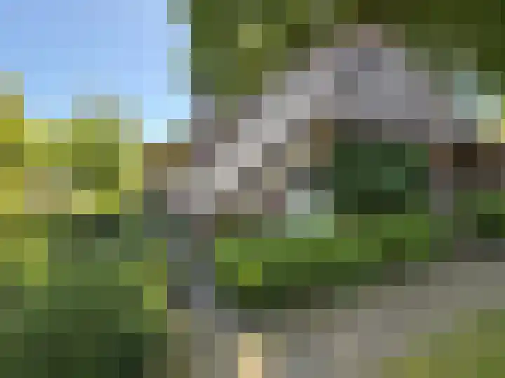 De Goornhoek 7 Sleen thumbnail 17