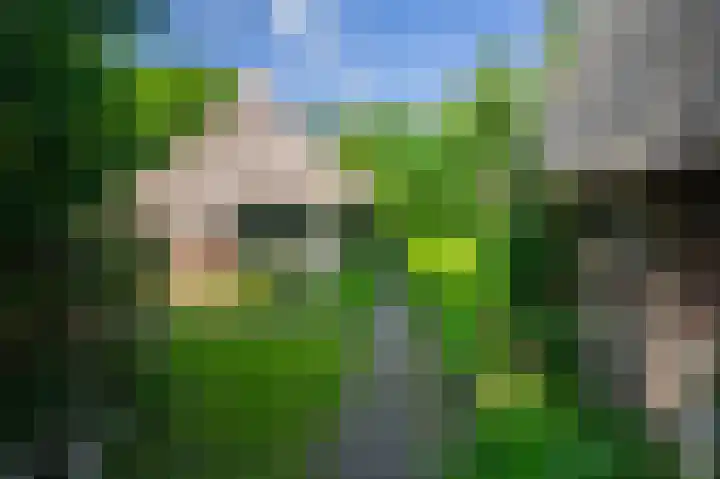 De Goornhoek 7 Sleen thumbnail 18