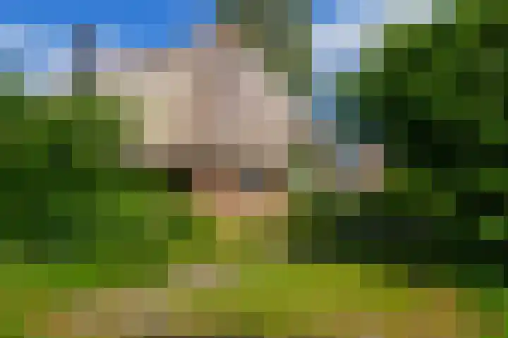 De Goornhoek 7 Sleen thumbnail 19