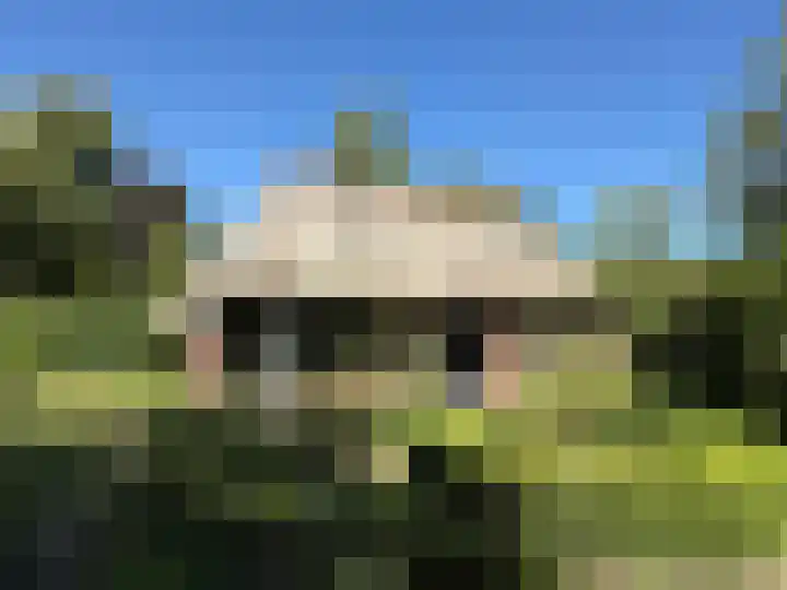 De Goornhoek 7 Sleen thumbnail 20