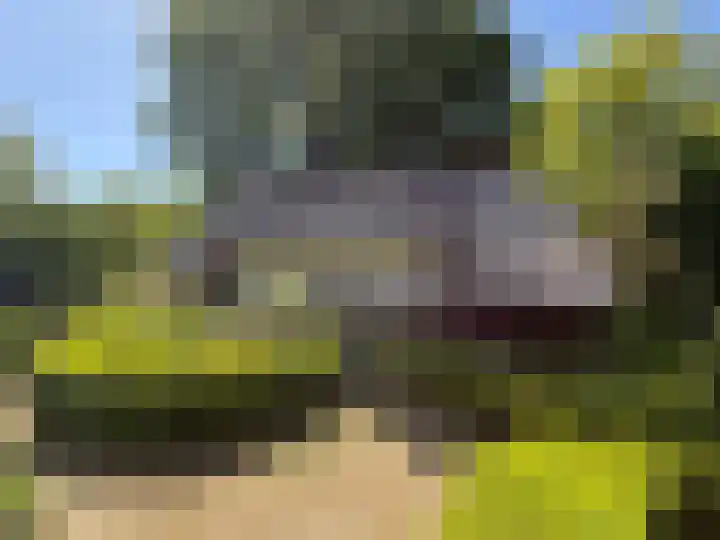 De Goornhoek 7 Sleen thumbnail 21