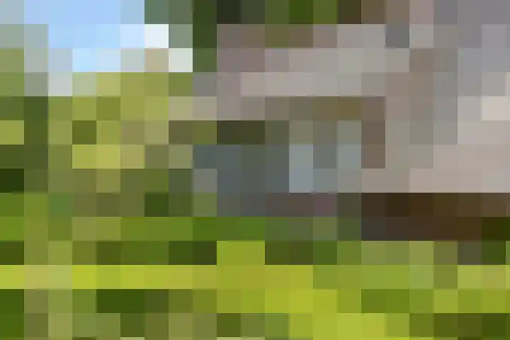 De Goornhoek 7 Sleen thumbnail 22