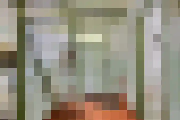 De Goornhoek 7 Sleen thumbnail 24
