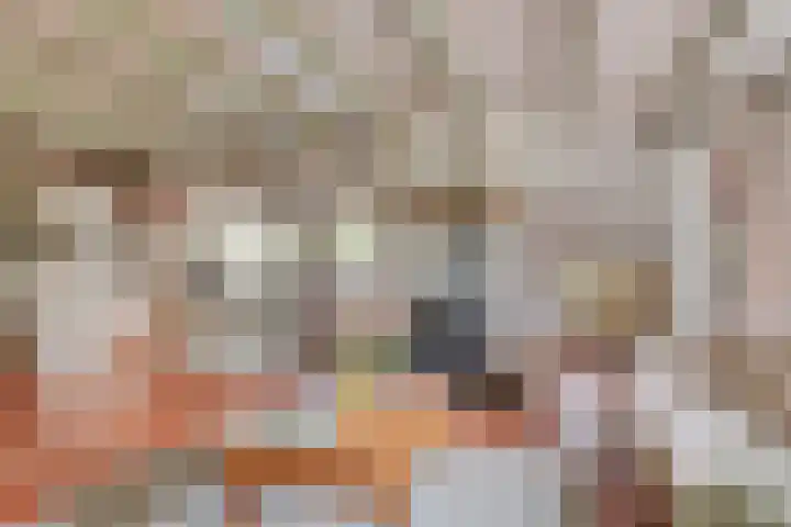 De Goornhoek 7 Sleen thumbnail 28