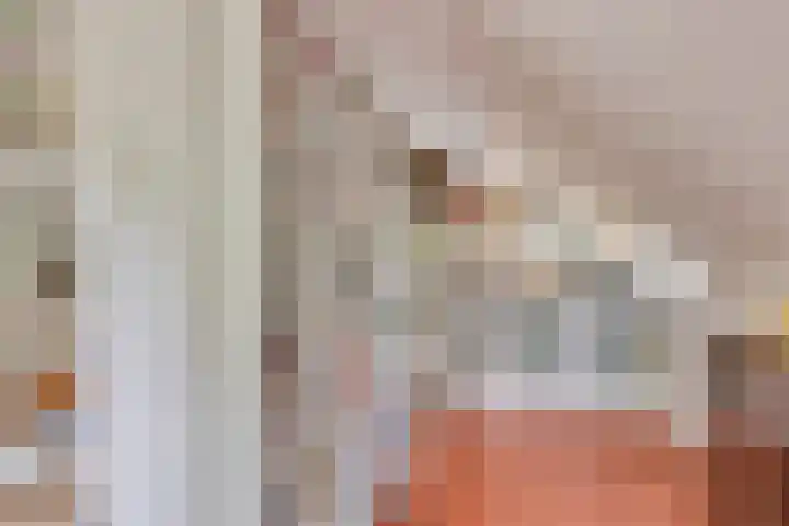 De Goornhoek 7 Sleen thumbnail 30