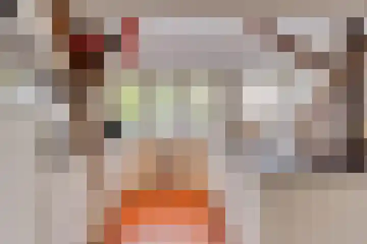 De Goornhoek 7 Sleen thumbnail 31