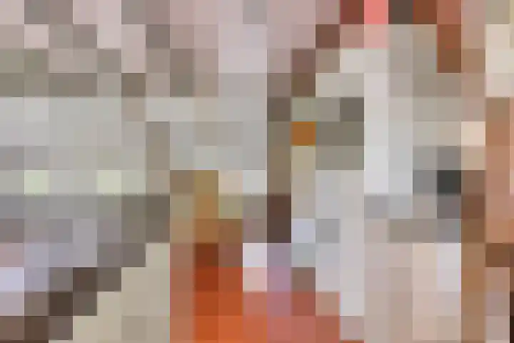 De Goornhoek 7 Sleen thumbnail 32