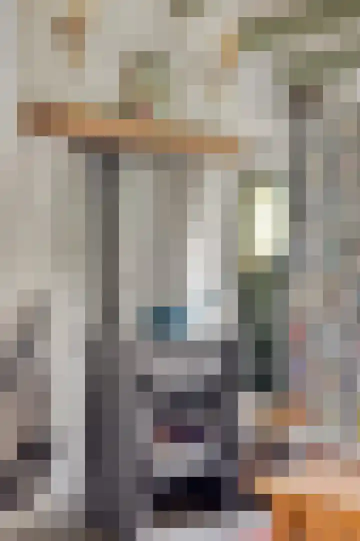 De Goornhoek 7 Sleen thumbnail 34