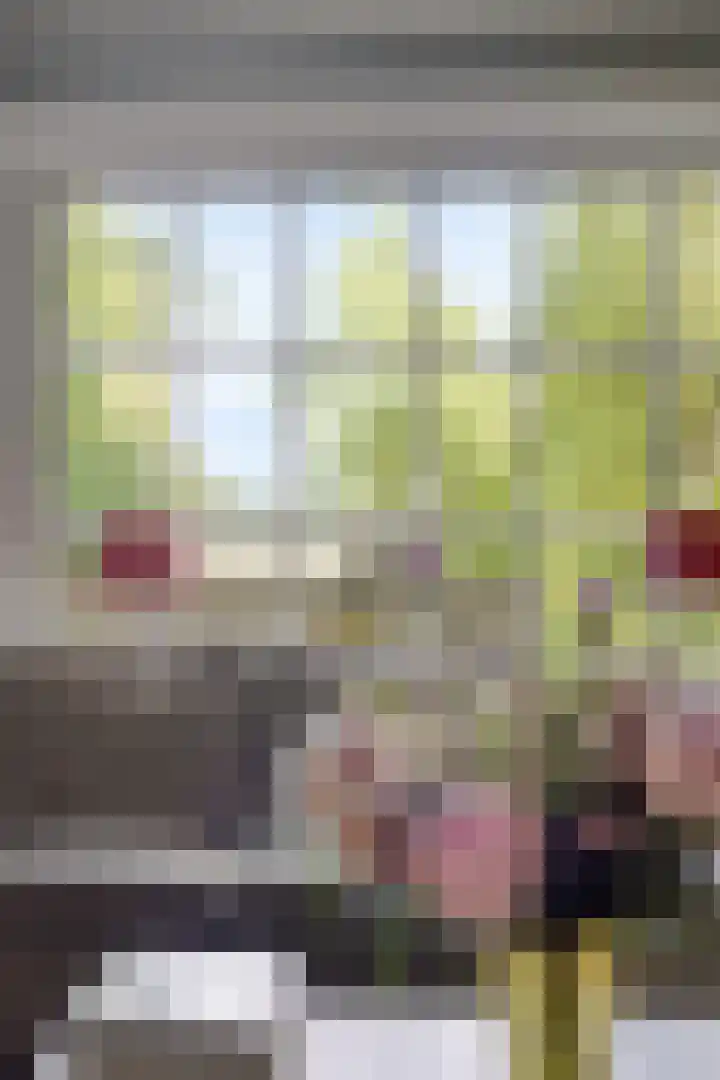 De Goornhoek 7 Sleen thumbnail 35