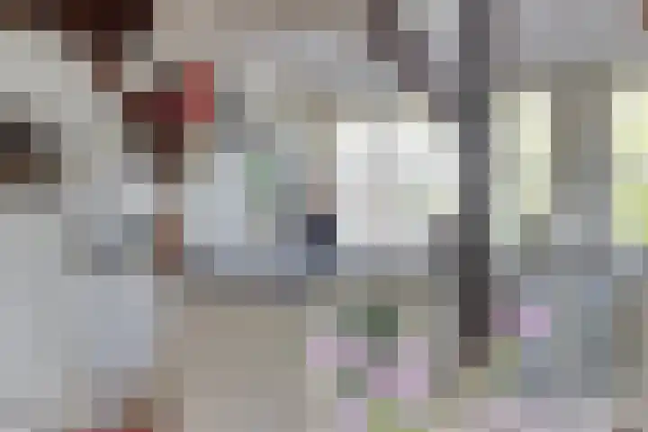 De Goornhoek 7 Sleen thumbnail 36
