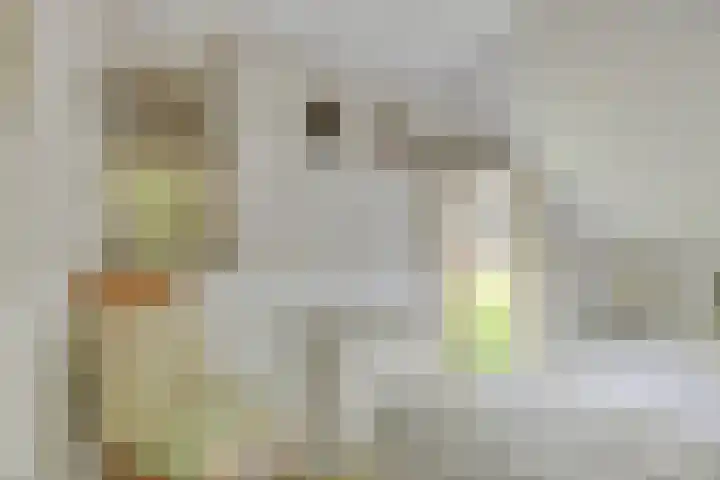 De Goornhoek 7 Sleen thumbnail 39