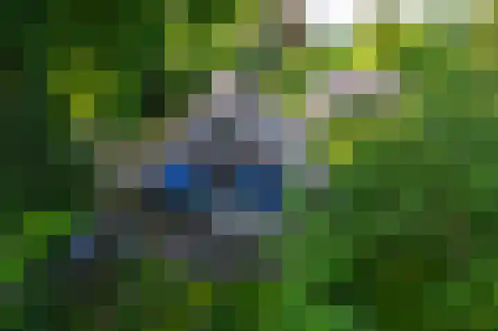 De Goornhoek 7 Sleen thumbnail 4