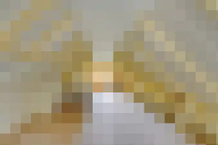 De Goornhoek 7 Sleen thumbnail 43