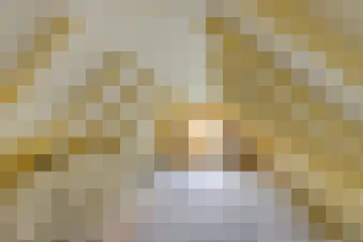 De Goornhoek 7 Sleen thumbnail 44