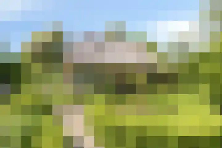 De Goornhoek 7 Sleen thumbnail 46