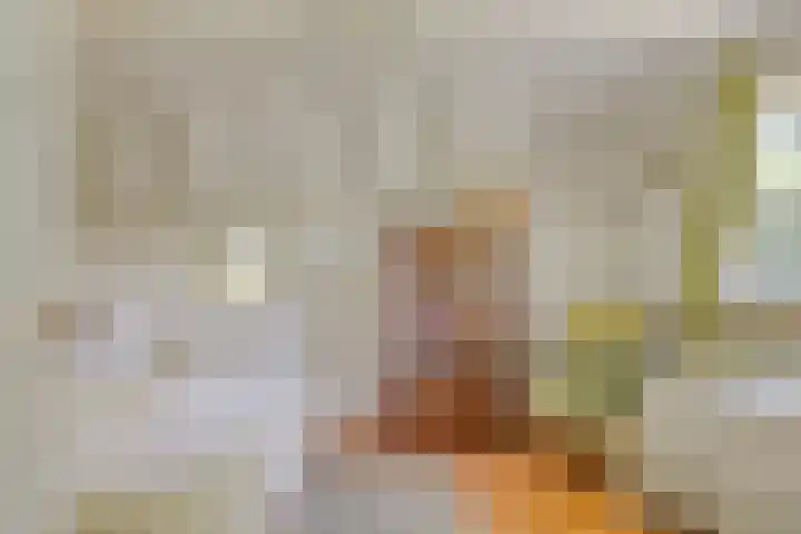 De Goornhoek 7 Sleen thumbnail 49