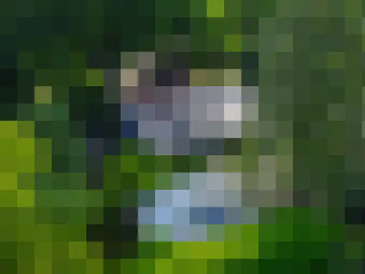De Goornhoek 7 Sleen thumbnail 5