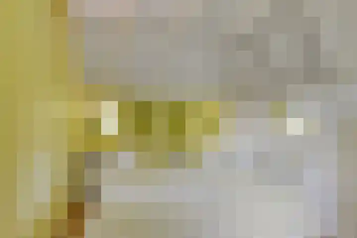 De Goornhoek 7 Sleen thumbnail 51