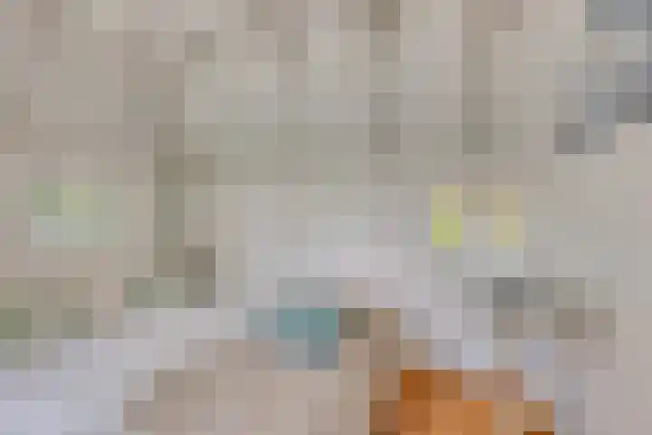 De Goornhoek 7 Sleen thumbnail 53