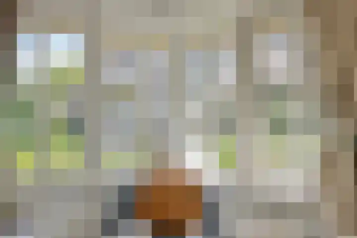 De Goornhoek 7 Sleen thumbnail 55