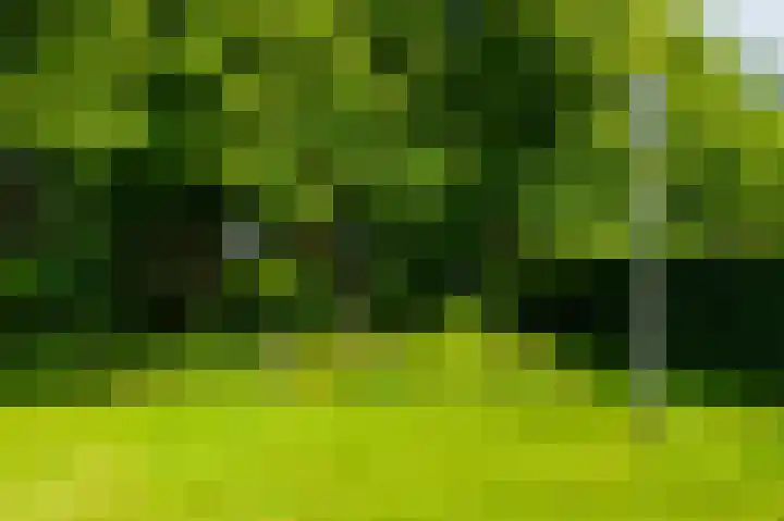 De Goornhoek 7 Sleen thumbnail 66