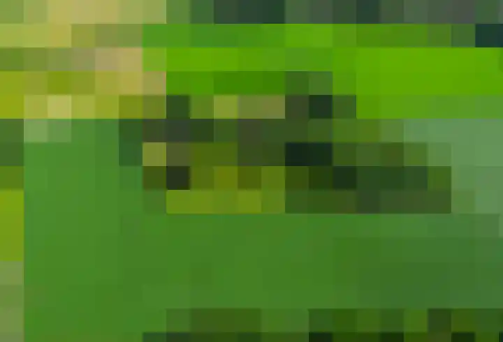 De Goornhoek 7 Sleen thumbnail 67