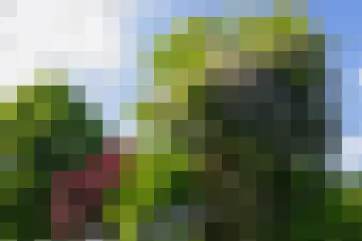 De Goornhoek 7 Sleen thumbnail 68