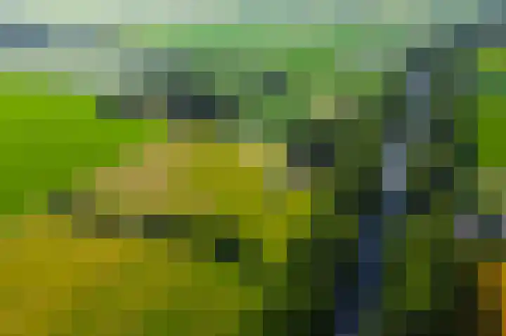 De Goornhoek 7 Sleen thumbnail 69