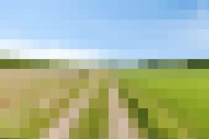 De Goornhoek 7 Sleen thumbnail 7