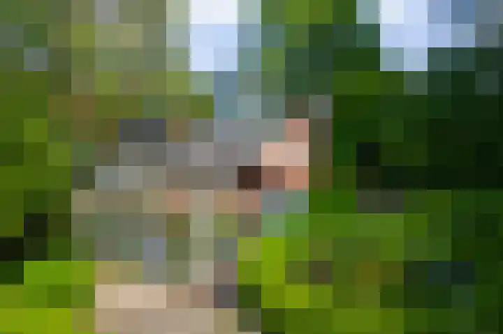 De Goornhoek 7 Sleen thumbnail 70