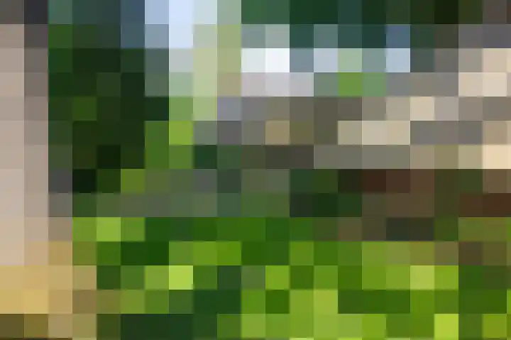 De Goornhoek 7 Sleen thumbnail 71