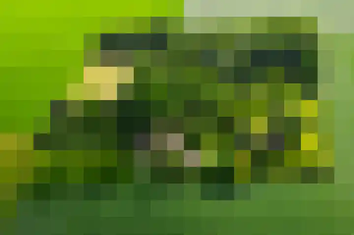 De Goornhoek 7 Sleen thumbnail 72