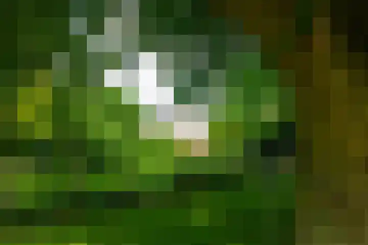 De Goornhoek 7 Sleen thumbnail 75