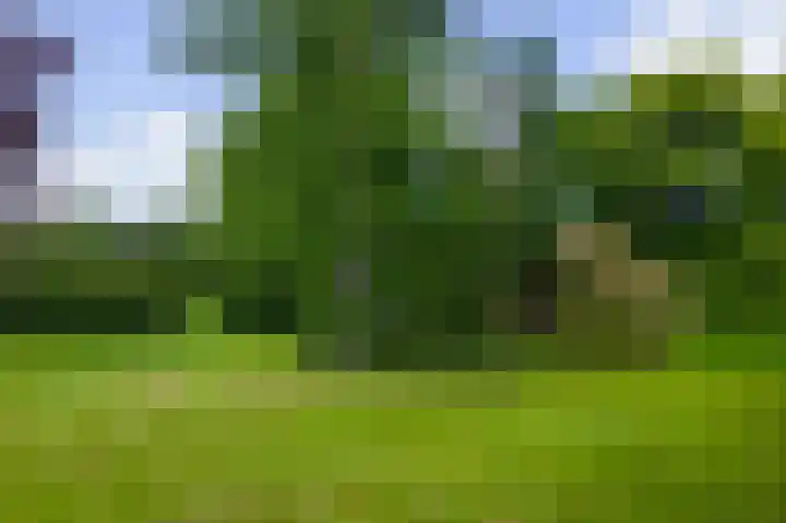 De Goornhoek 7 Sleen thumbnail 76